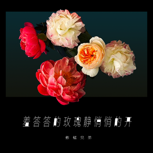 欧美极品黑人巨大喷潮微博
